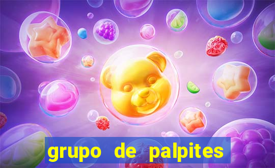 grupo de palpites de futebol telegram